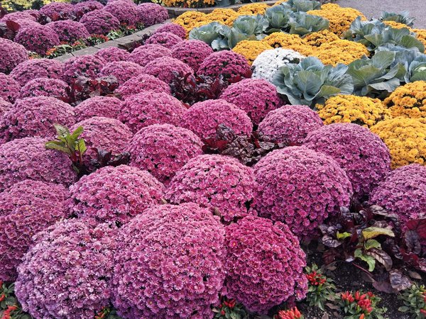 Créez Votre Propre Barbecue en Pierre: Guide Ultime pour Une Construction Facile et Durable